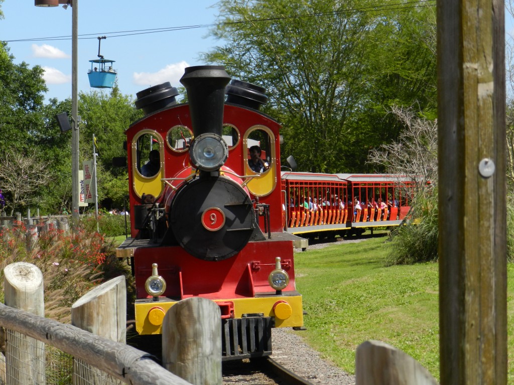 Busch Gardens Tampa Bay