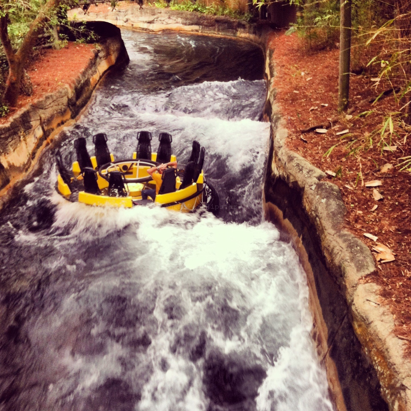 Busch Gardens Congo River Rapids ThemeParkHipster   BG1814 