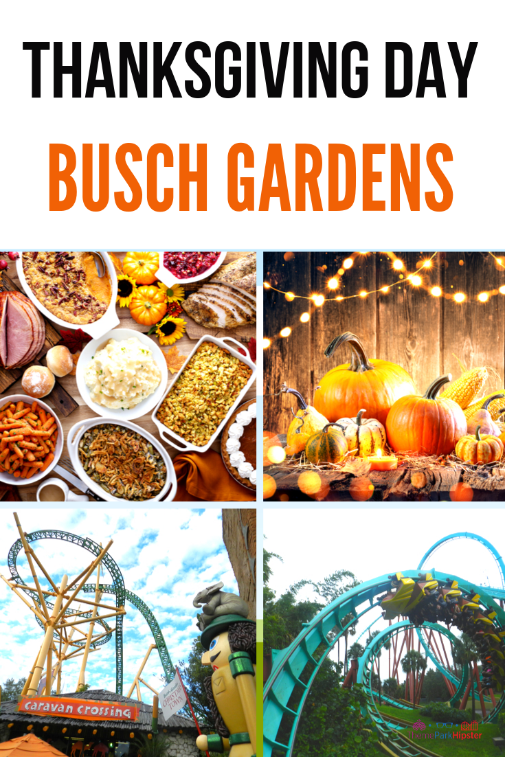 Celebrating Thanksgiving at Busch Gardens Tampa 2022 - ThemeParkHipster