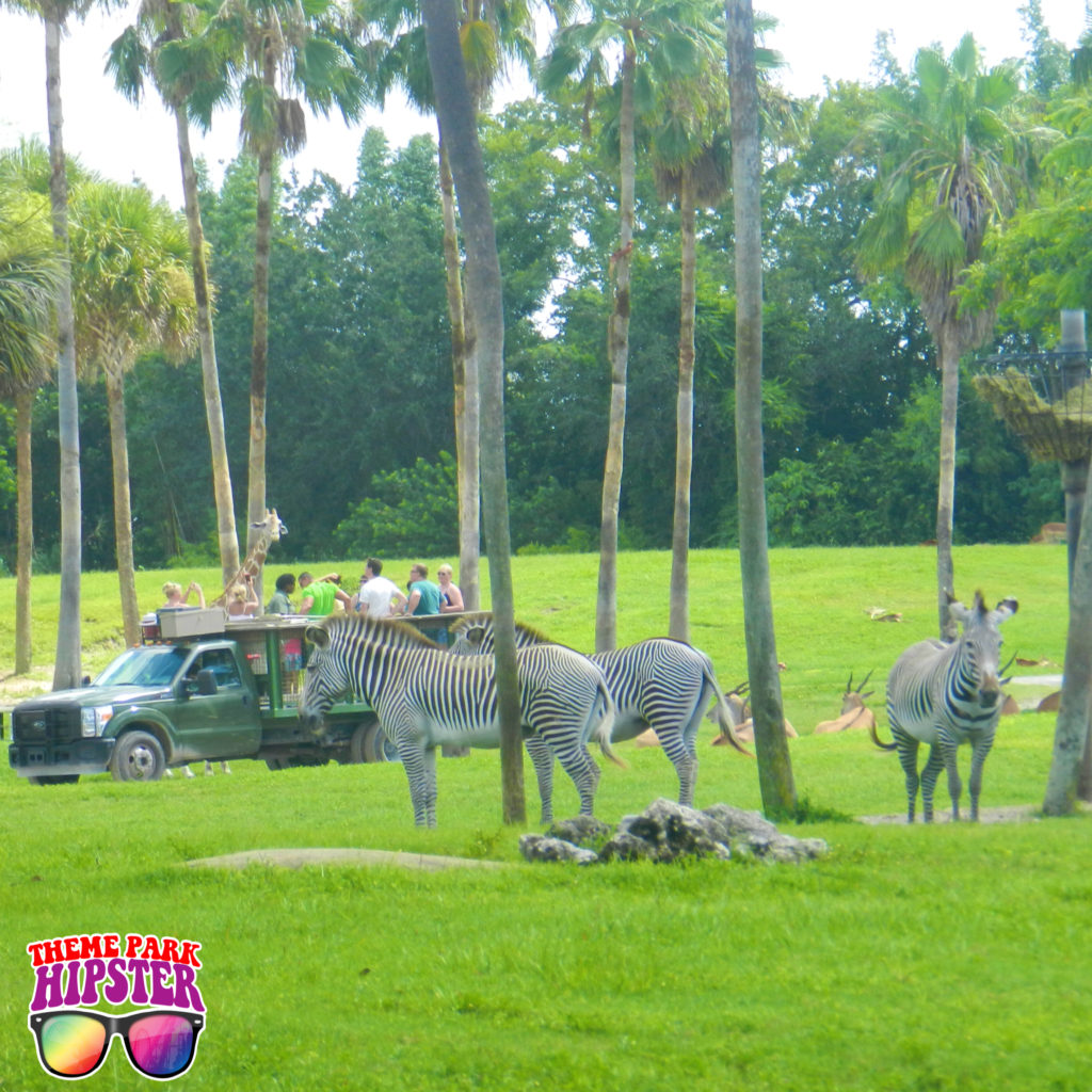 Safari Tour at Busch Gardens Serengeti