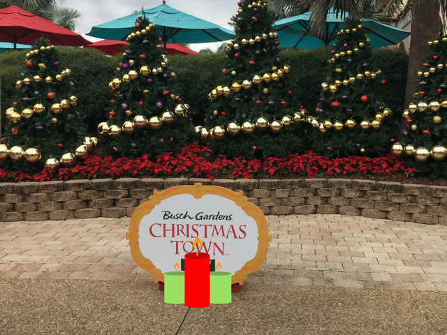 Christmas Town at Busch Gardens with Lush Trees and Gold Bulbs