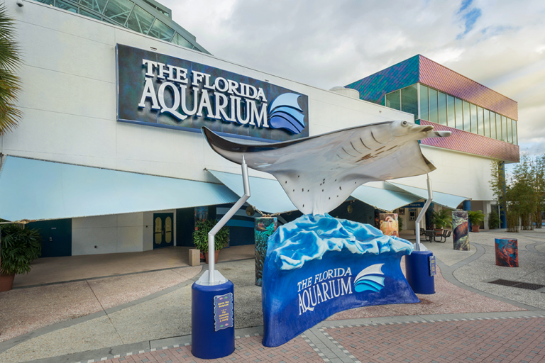 7 Fun Things to Do in Tampa with CityPASS (2023) - FloriDa Aquarium In Tampa Bay Press Release 768x512