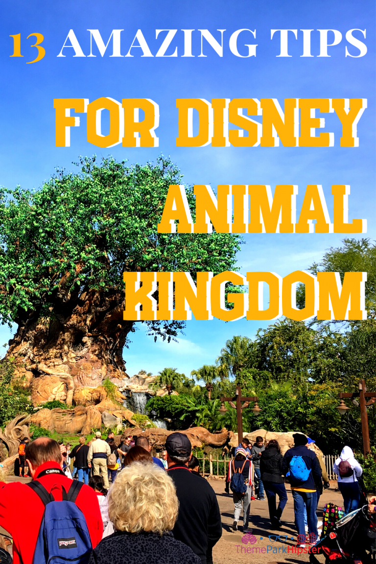 13 Pro Tips For Disney’s Animal Kingdom to Make Your Day Easy