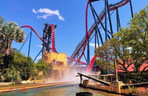 Top 10 Ways to Find Cheap Busch Gardens Tampa Tickets (2024 ...