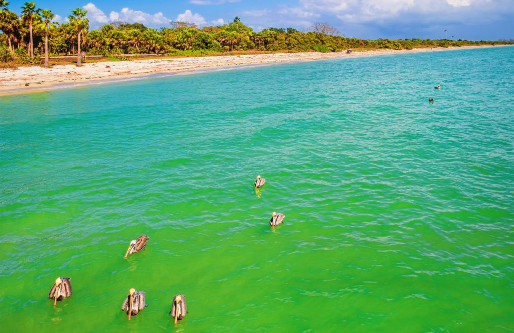 Fort De Soto Park_ St. Petersburg, Florida with crane and cannon. One of the best beaches near Disney World