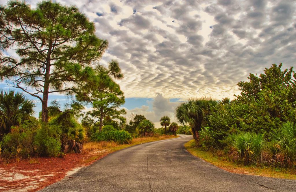 Honeymoon Island State Park, Florida. One of the best beaches near Disney World