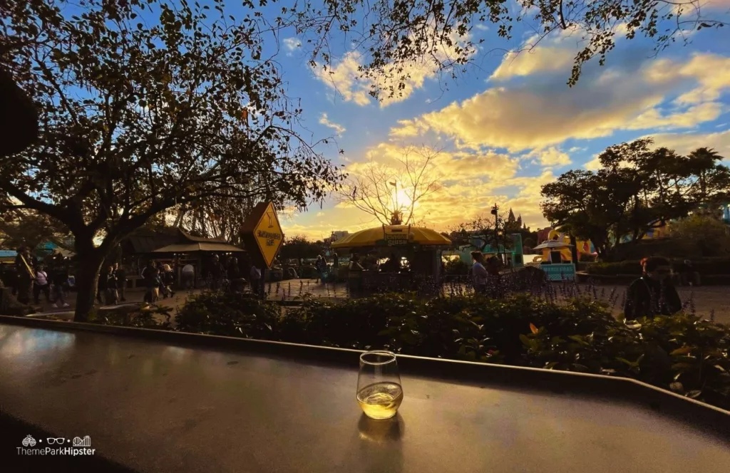 Universal Orlando Resort View of Islands of Adventure from Backwater Bar in Confisco Grill