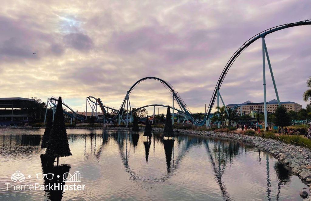 Sea of Trees and Pipeline Roller Coaster at SeaWorld Orlando Christmas Celebration