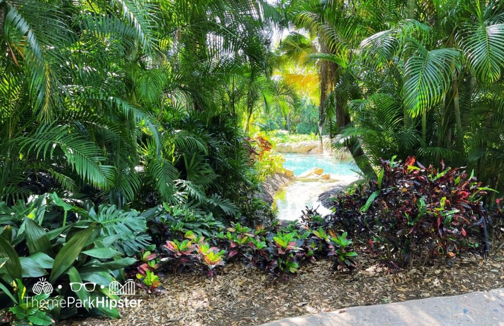 Discovery Cove All Inclusive Water Park at SeaWorld Orlando. Keep reading to find out about Seaworld Orlando's Discovery Cove.