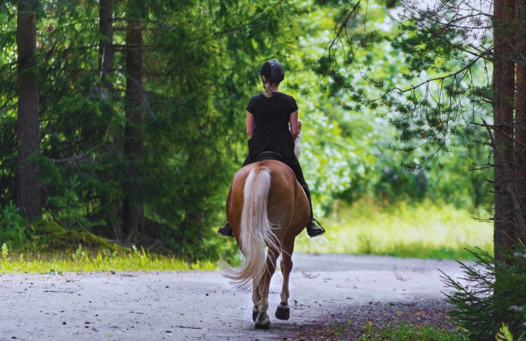 Lady horseback riding in the woods