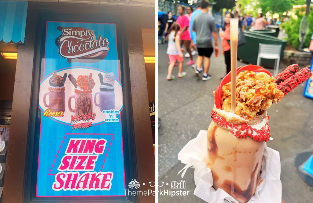 Hersheypark Theme Park King Size Shake with Wildcat's Revenge Drink