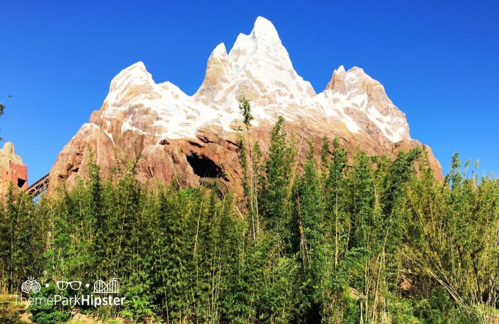 Mount Everest Mountain on Expedition Everest Roller Coaster Disney Animal Kingdom Theme Park. Keep reading to get the full guide on doing Disney alone and having a solo trip to Animal Kingdom.