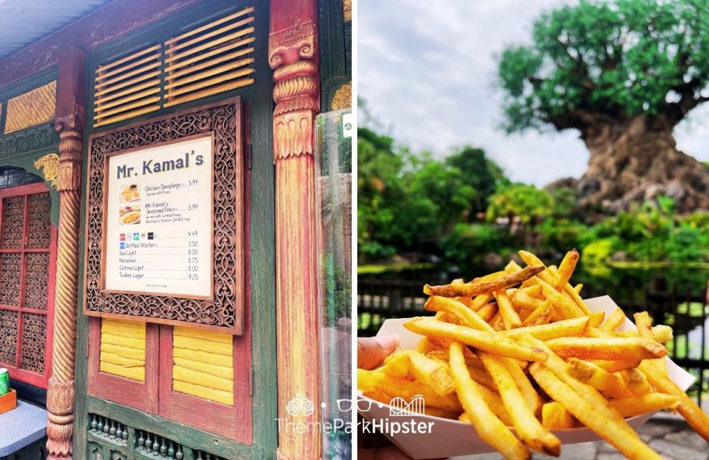 Mr Kamal's Fries and Chicken Dumplings Food Snack Kiosk Disney Animal Kingdom Theme Park