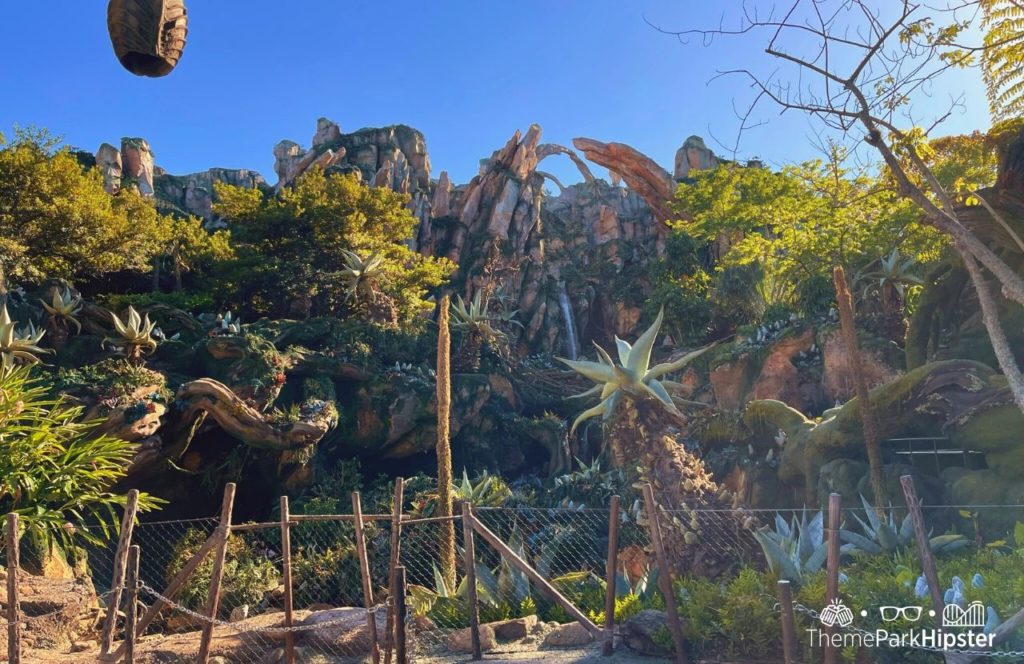 Pandora World of Avatar Flight of Passage Disney Animal Kingdom Theme Park