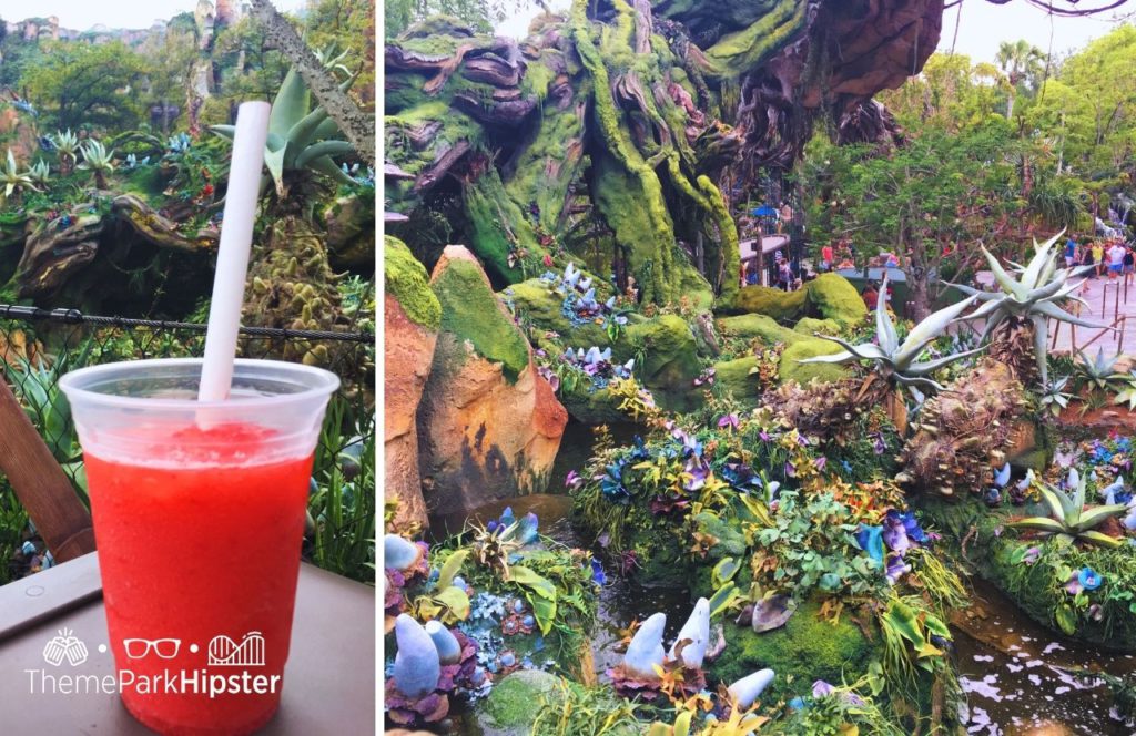 Pandora World of Avatar on a Cloudy Rainy Day Pongu Pongu Menu Moara Margarita Drink Disney Animal Kingdom Theme Park. Keep reading to find out more hidden secrets at Disney's Pandora The World of Avatar.