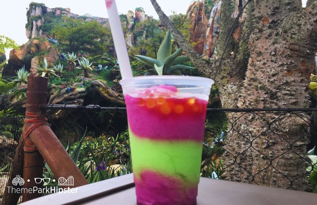 Pandora World of Avatar on a Cloudy Rainy Day Pongu Pongu Menu Night Blossom Drink Disney Animal Kingdom Theme Park. One of the best alcoholic drinks at Animal Kingdom.