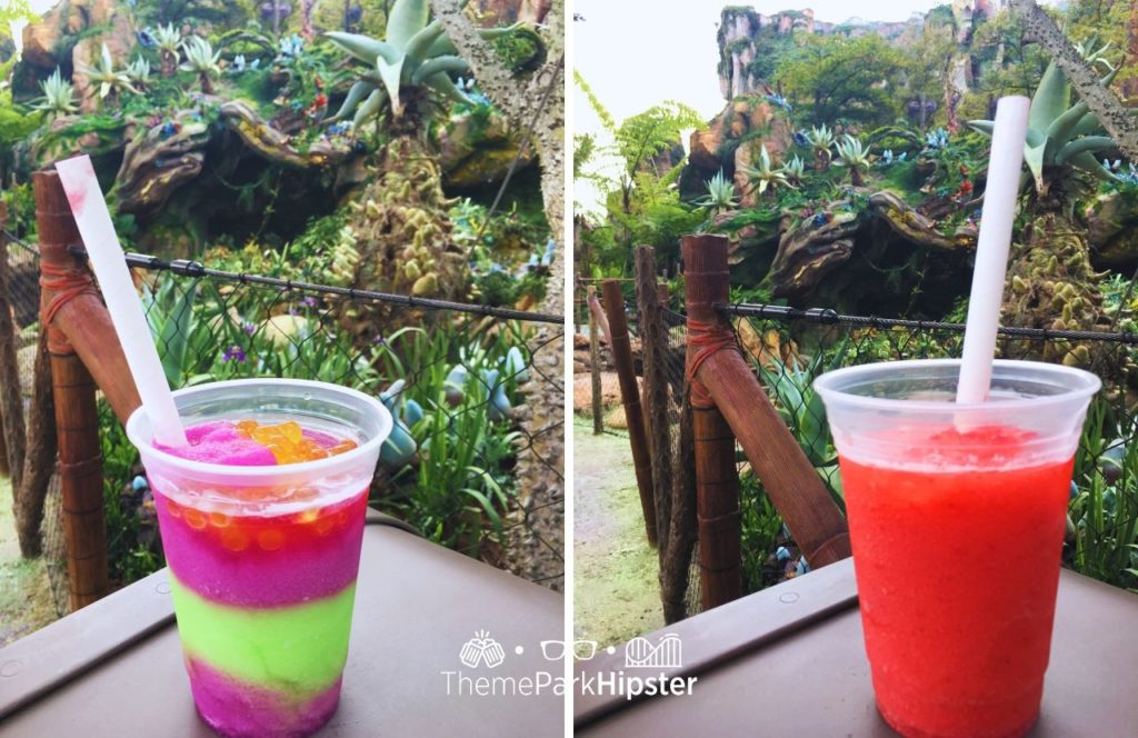 Pandora World of Avatar on a Cloudy Rainy Day Pongu Pongu Menu Night Blossom Drink Moara Margarita Disney Animal Kingdom Theme Park. One of the best alcoholic drinks at Animal Kingdom.