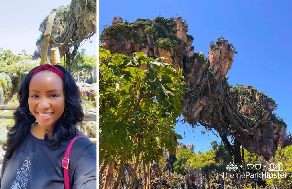 Pandora World of Avatar with NikkyJ Disney Animal Kingdom Theme Park. Keep reading to find out which Orlando theme park is the best to visit.