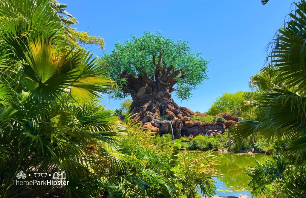 Tree of Life Disney Animal Kingdom Theme Park