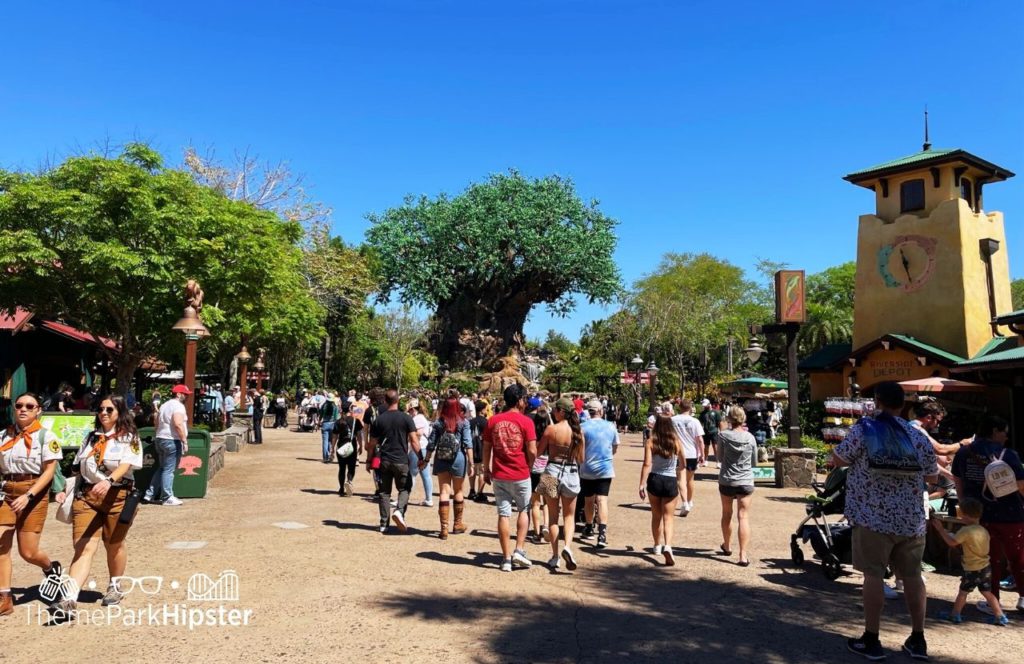 Tree of Life Disney Animal Kingdom Theme Park