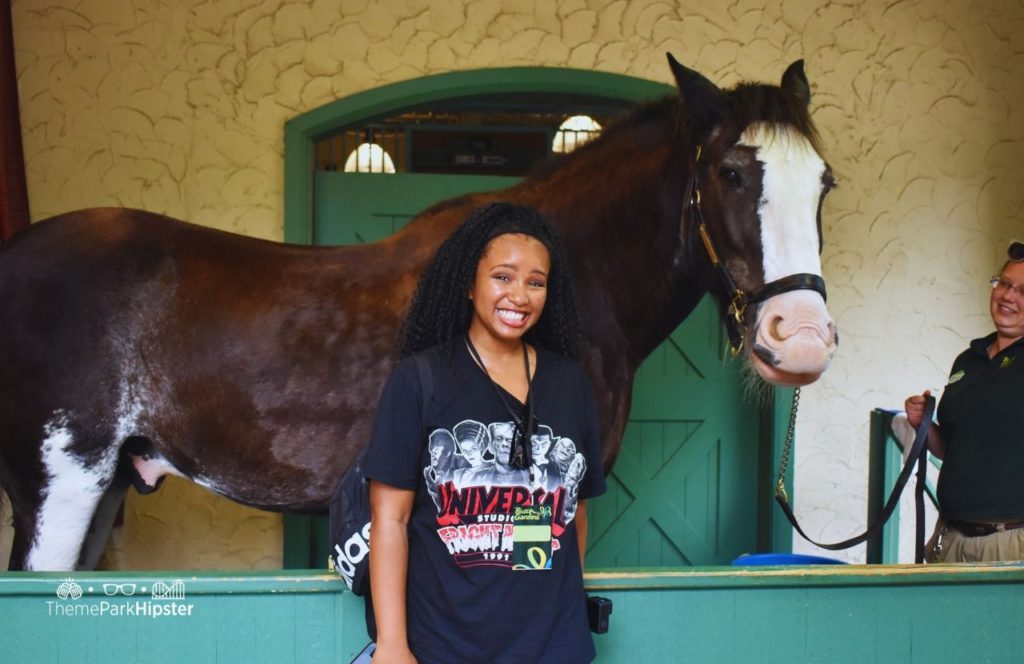 NikkyJ Upclose to Clydesdale Horse on VIP Tour at Busch Gardens Williamsburg, Virginia. Keep reading to learn more about the Busch Gardens Williamsburg VIP Tour.