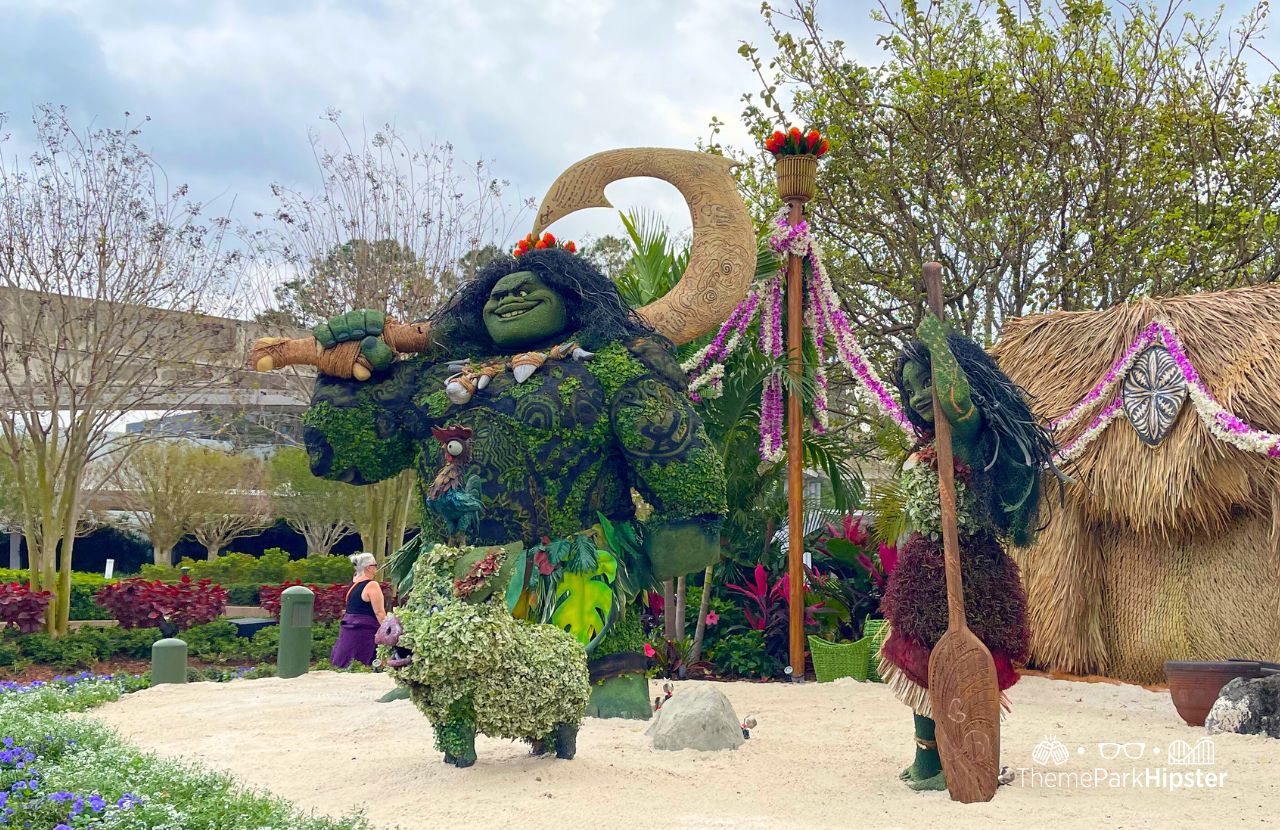 2025 Epcot Flower and Garden Festival Moana and Maui Topiary